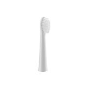 Accessoire brosses à dents