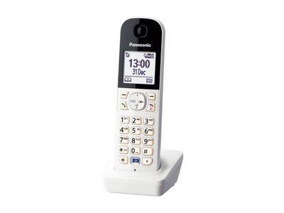 KX-HNH100EX2