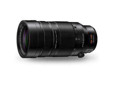 LUMIX G 100-400mm f/4.0-6.3 Leica DG