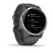 Garmin Vivoactive 4 Shadow Gray/Silver