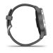 Garmin Vivoactive 4 Shadow Gray/Silver