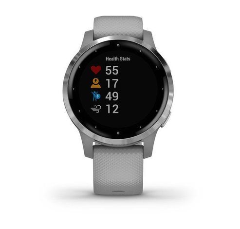 Vívoactive 4S Powder Gray/Silver  Garmin