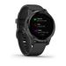 Garmin Vivoactive 4S PVD Black/Slate