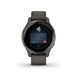 Garmin Venu 2S GPS Wi-Fi Grey/Gunmetal