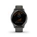 Garmin Venu 2S GPS Wi-Fi Grey/Gunmetal