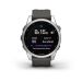 Garmin Fenix 7S Zilver 42mm met Graphite band