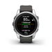 Garmin Fenix 7S Pro Solar, Zilver met Graphite polsband (42mm)