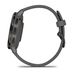 Garmin Venu 3S Pebble Gray + Slate