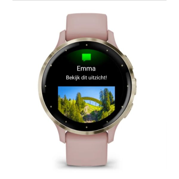 Garmin Venu 3S French Dust Rose + Soft Gold