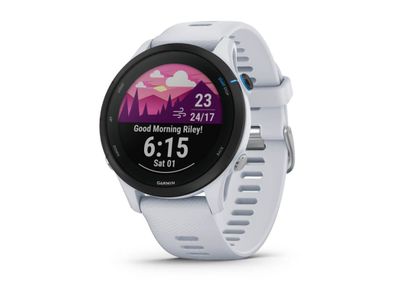 Garmin forerunner 255 music whitestone