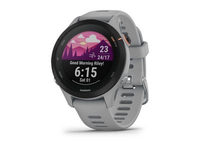 Garmin forerunner 255s powder grey