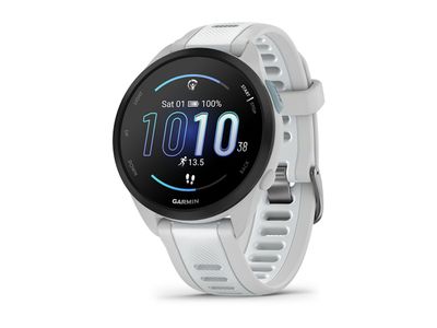 Forerunner® 165 Music Mist grey/Whitestone