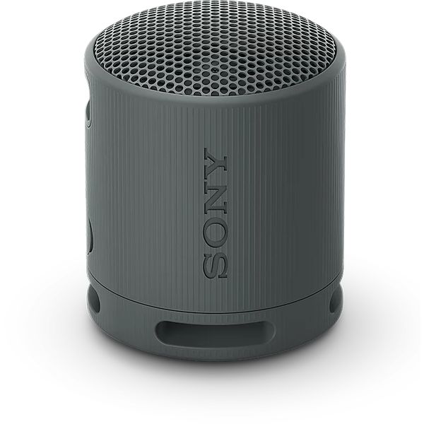 Sony RSXB100D.CE7 Draagbare luidspreker Zwart