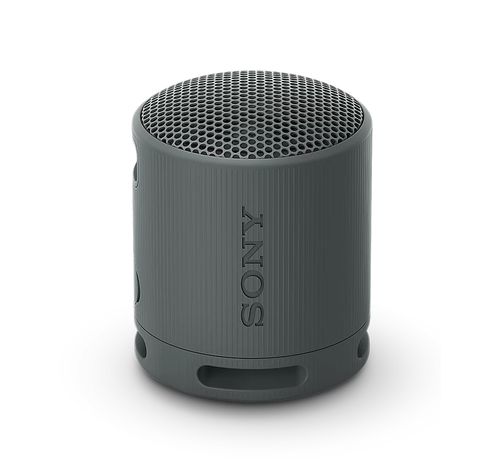 RSXB100D.CE7 Enceinte portable Gris  Sony