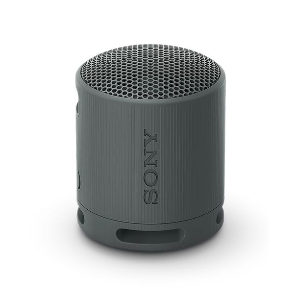 Sony RSXB100D.CE7 Draagbare luidspreker Grijs