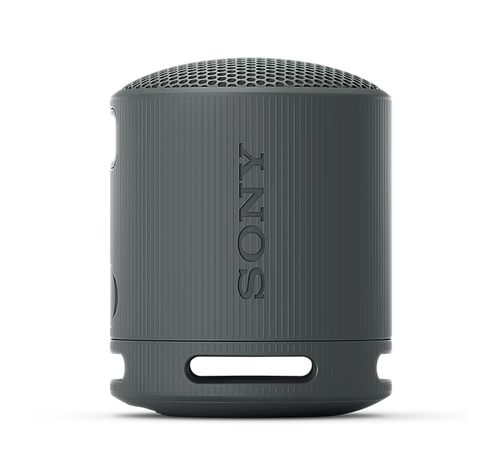 RSXB100D.CE7 Enceinte portable Gris  Sony