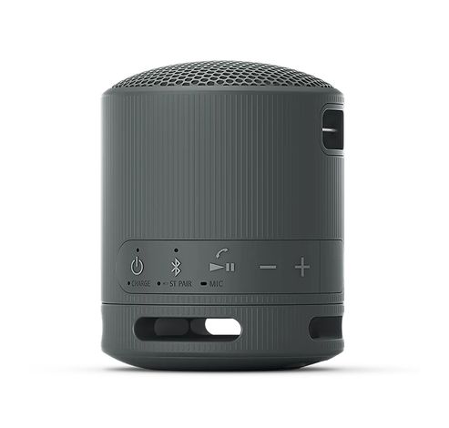 RSXB100D.CE7 Enceinte portable Gris  Sony