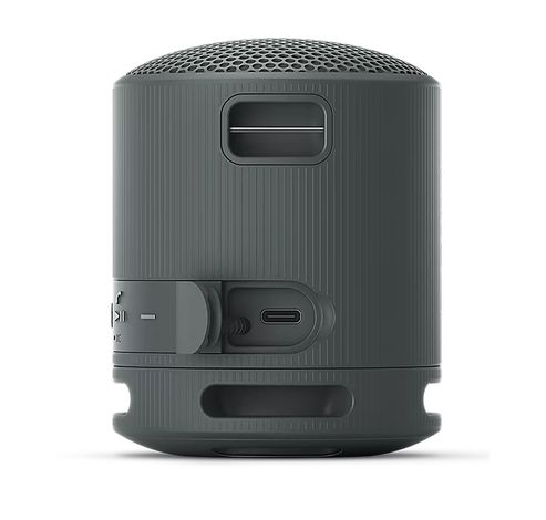 RSXB100D.CE7 Enceinte portable Gris  Sony