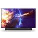 OLED TV K55XR84P 