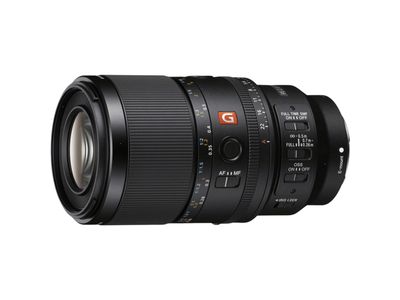 SEL FE 100mm f/2.8 Macro GM OSS