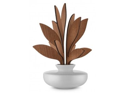 Geurverspreider Ahhh