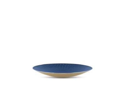Cohncave Schaal 49cm Blauw