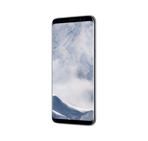 Galaxy S8 Zilver  Samsung