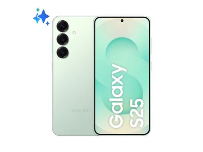 Galaxy S25 5G 512GB Mint