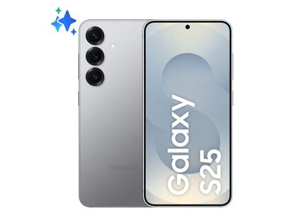 Galaxy S25 5G 128GB Enterprice Edition Silver Shadow