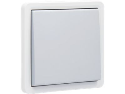 Spuitwaterdichte, tweepolige opbouwschakelaar 10 AX/250 Vac met schroefklemmen, exclusief opbouwdoos