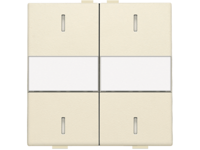 Tweevoudige toets met tekstveld voor drukknop met 4 bedieningsknoppen en 4 feedbackleds, cream