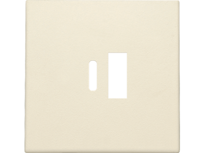 Afwerkingsset voor dubbele smart USB-A en USB-C-lader, cream