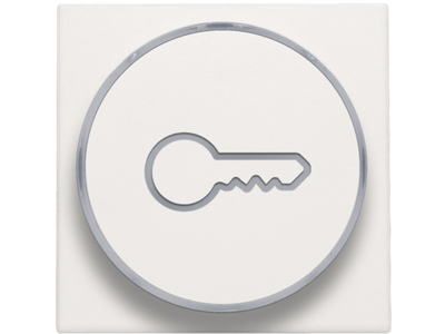 Afwerkingsset met doorschijnende ring met sleutelsymbool voor drukknop 6A met amberkleurige led met E10-lampvoet, white