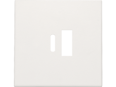 Afwerkingsset voor dubbele smart USB-A en USB-C-lader, white