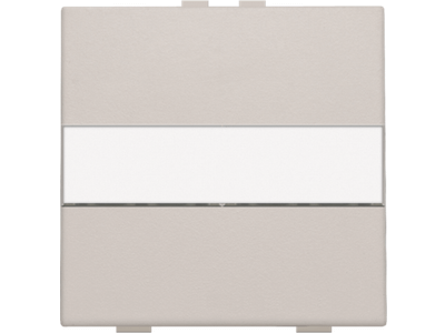 Enkelvoudige toets met tekstveld voor draadloze schakelaar of drukknop met 2 bedieningsknoppen, light grey