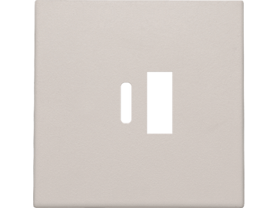 Afwerkingsset voor dubbele smart USB-A en USB-C-lader, light grey