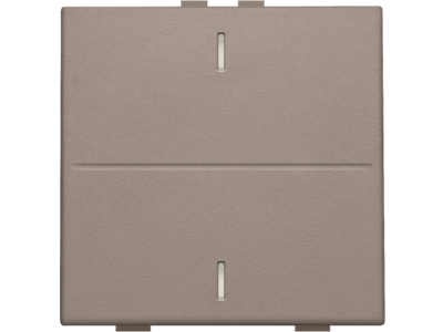 Enkelvoudige toets voor drukknop met 2 bedieningsknoppen en 1 of 2 feedbackleds, greige