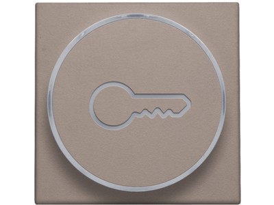 Afwerkingsset met doorschijnende ring met sleutelsymbool voor drukknop 6A met amberkleurige led met E10-lampvoet, greige