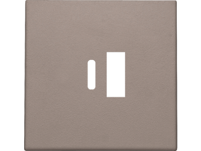 Afwerkingsset voor dubbele smart USB-A en USB-C-lader, greige