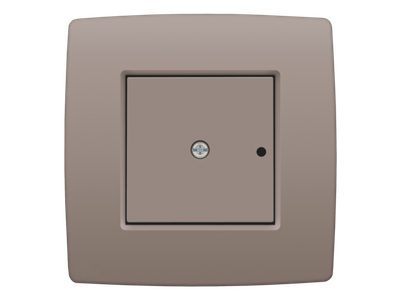 Afwerkingsset voor 1-kanaals inbouw RF-ontvanger met enkelpolig (potentiaalvrij) schakelcontact of inbouw RF-ontvanger met rolluikfunctie, greige