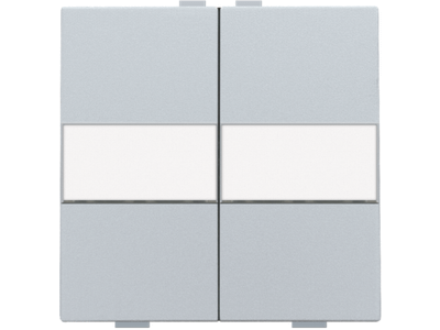 Tweevoudige toets met tekstveld voor draadloze schakelaar of drukknop met 4 bedieningsknoppen, sterling