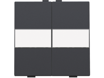 Tweevoudige toets met tekstveld voor draadloze schakelaar of drukknop met 4 bedieningsknoppen, anthracite