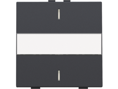 Enkelvoudige toets met tekstveld voor drukknop met 2 bedieningsknoppen en 1 of 2 feedbackleds, anthracite
