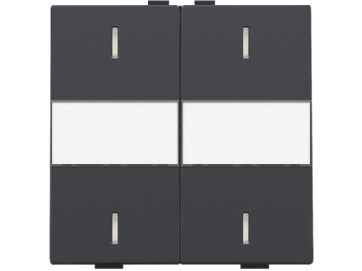 Tweevoudige toets met tekstveld voor drukknop met 4 bedieningsknoppen en 4 feedbackleds, anthracite