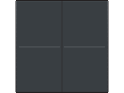 Tweevoudige toets, draadloos, voor draadloze dimschakelaar (Hue®, Bluetooth®, EnOcean®, KNX®), anthracite