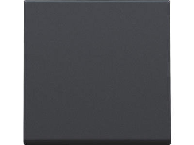 Afwerkingsset voor elektronische schakelaar of drukknop, anthracite