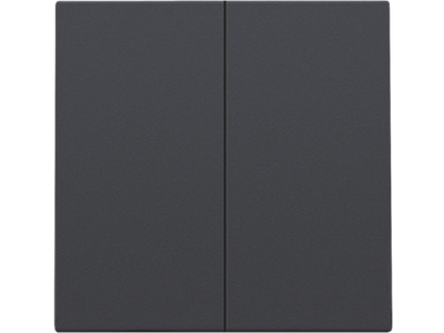 Afwerkingsset voor dubbele elektronische schakelaar of drukknop, anthracite