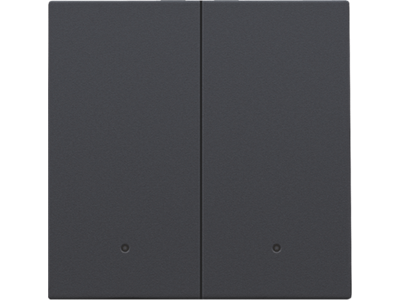 Afwerkingsset met lens voor dubbele elektronische schakelaar of drukknop, anthracite