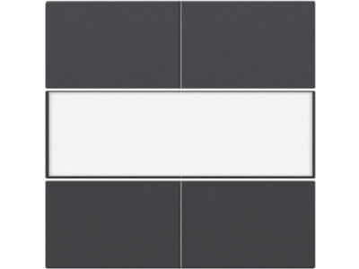 Afwerkingsset voor 4-voudige potentiaalvrije drukknop 24 V met tekstveld, anthracite