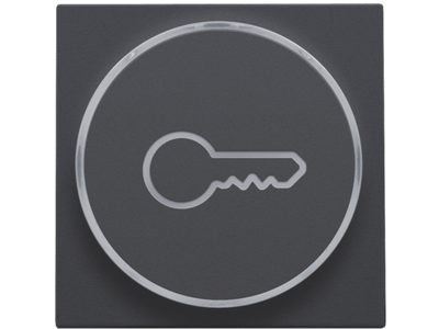 Afwerkingsset met doorschijnende ring met sleutelsymbool voor drukknop 6A met amberkleurige led met E10-lampvoet, anthracite